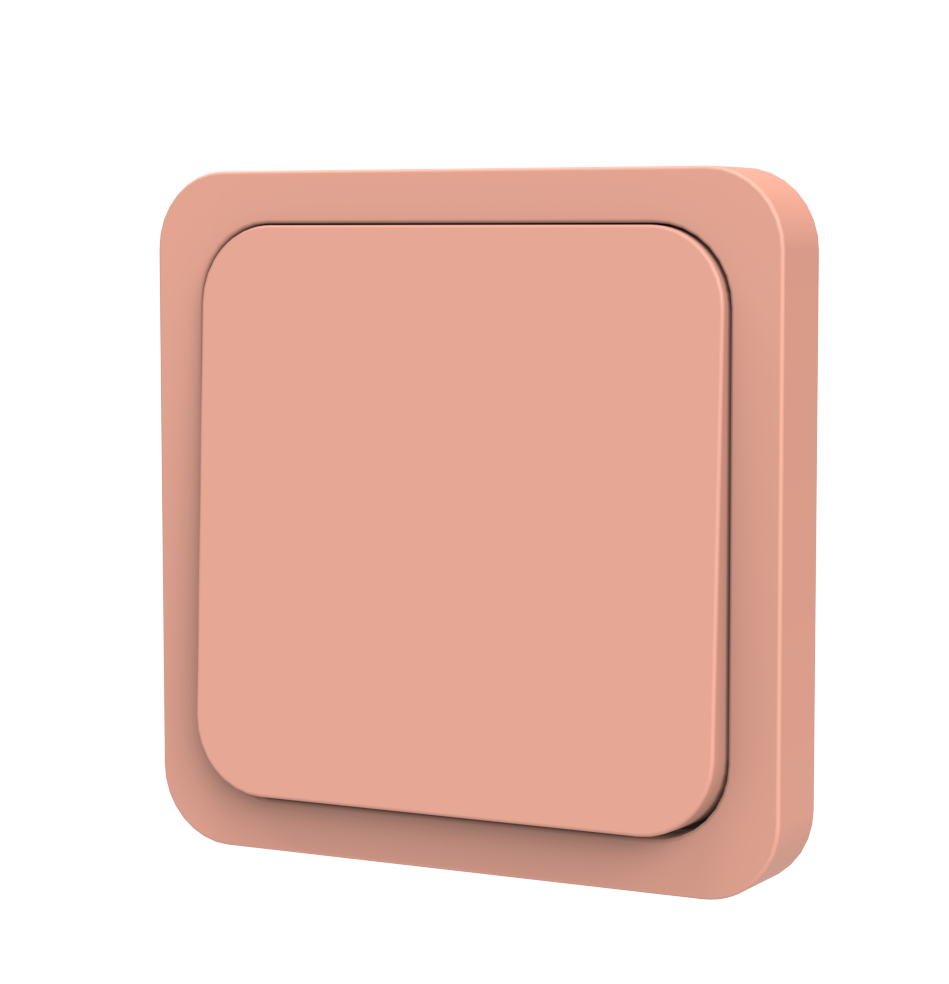 SWITCH N⁰ 1 - DUSTY PINK