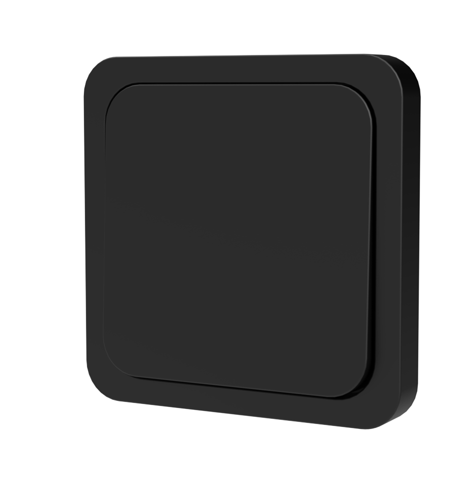 SWITCH N⁰ 1 - BLACKBIRD