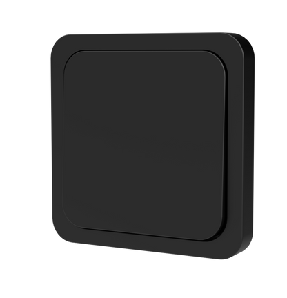 SWITCH N⁰ 1 - BLACKBIRD
