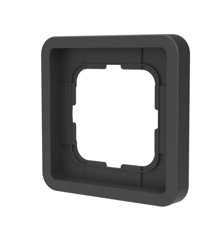 FRAME N⁰ 1 - BLACKBIRD