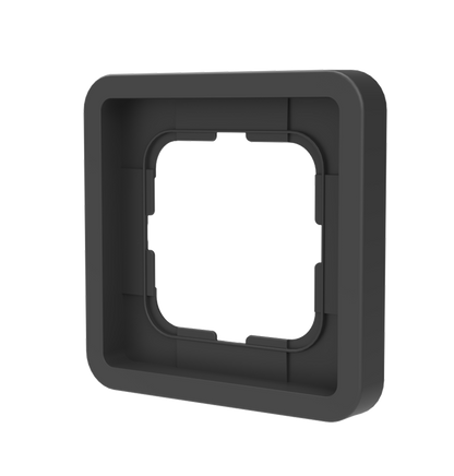 FRAME N⁰ 1 - BLACKBIRD