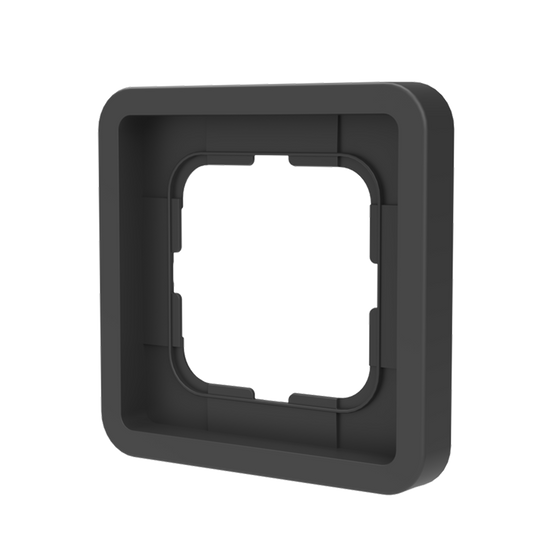 FRAME N⁰ 1 - BLACKBIRD