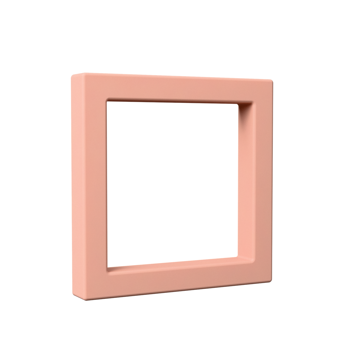 DUSTY PINK - Ram
